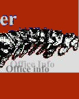 Your Company Name